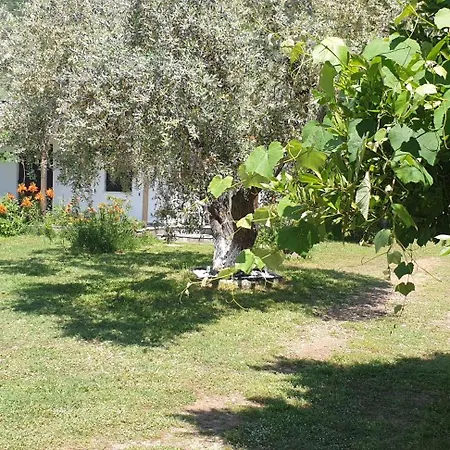 Guest house Villa Eleni Chrysi Ammoudia