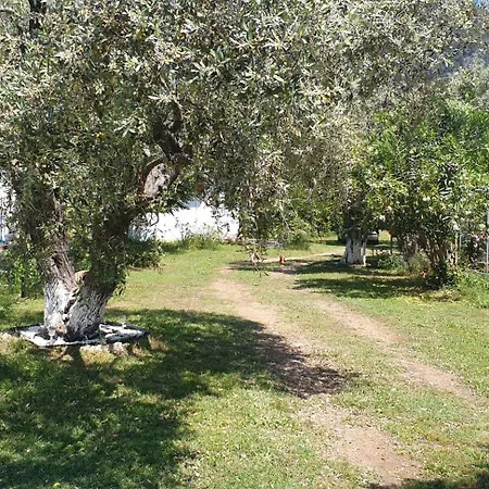 Guest house Villa Eleni Chrysi Ammoudia
